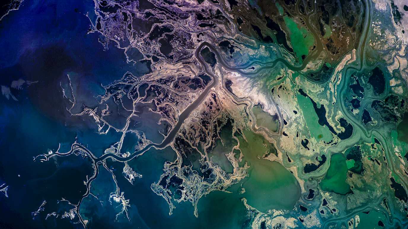 Saskatchewan River Delta, Manitoba, Canada. Satellite view..jpg
